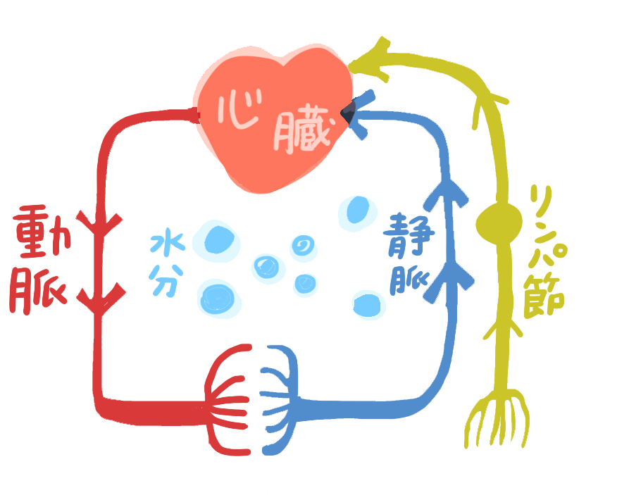 足のむくみ-浮腫