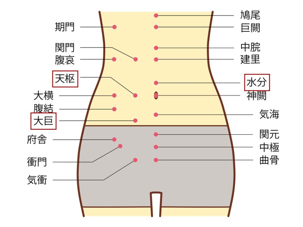 足のむくみやだるさに効果的なツボ-腹部