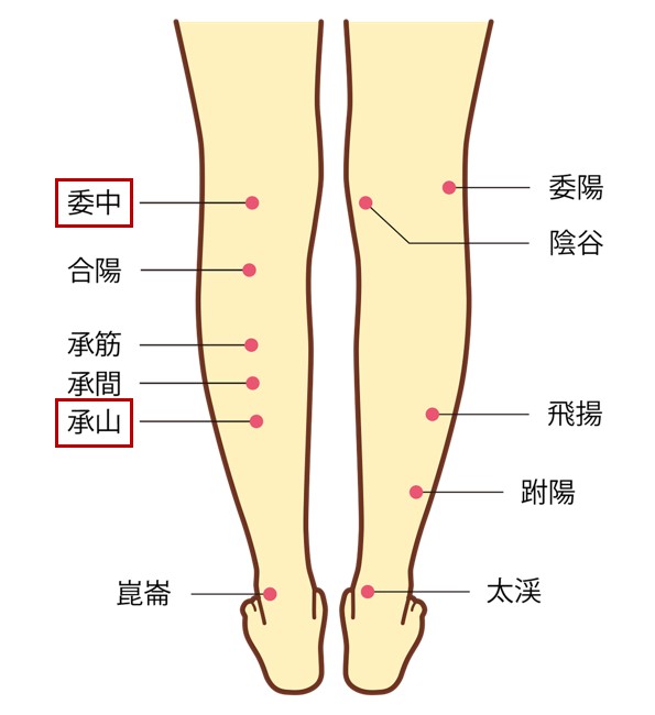 足のむくみやだるさに効果的なツボ-下腿裏