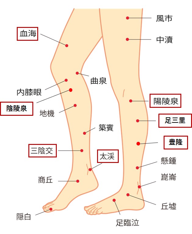 足のむくみやだるさに効果的なツボ-下腿側面